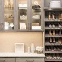 closet with shelves, glass door cabinets, drawers and counter surface
